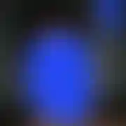Tygrys1237