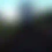 AgentKrk