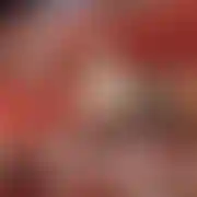 PASbb00