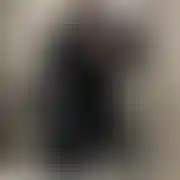 PawLovicz