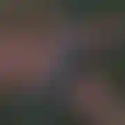 Kamillakt