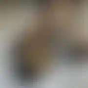 AgaiPiotr