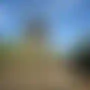 Tomojlogin