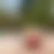 Tomojlogin