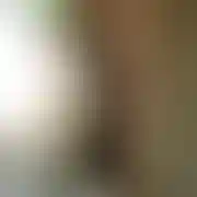 Junikowscy
