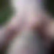 Pawel0388