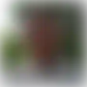 74Wojto - mann, 52 Jahre, Kobyłka