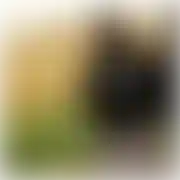 Ggj99