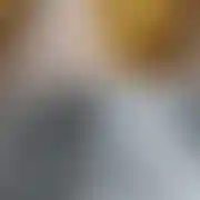 TomasekKato