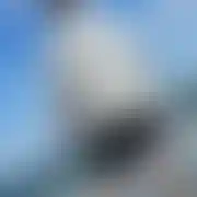 Maniek1000