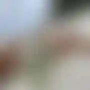2020para