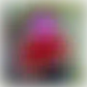 14102020