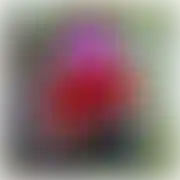 14102020