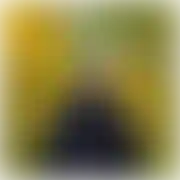 14102020