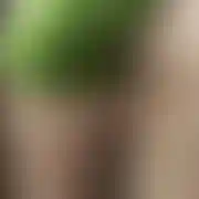 Gregi4