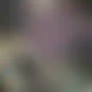 BigDick89