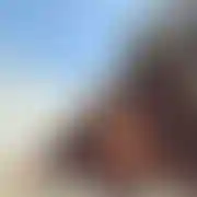 Doniu85