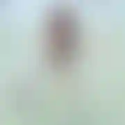 Tobi19855