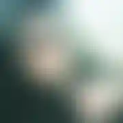 BartekWlkp