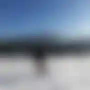 Markus14