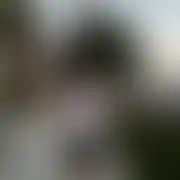 Barmat