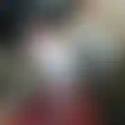 Kocureek