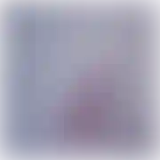 WlkpPas77