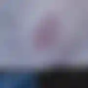 WlkpPas77