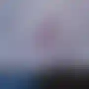 WlkpPas77