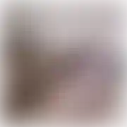 WlkpPas77