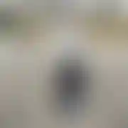 LubieSpontan69