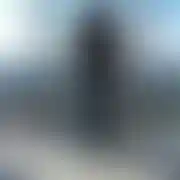 Daro709
