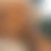 Highxhorny87