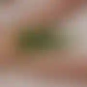Alamala12322