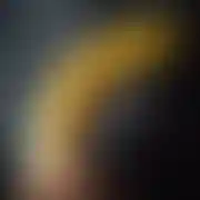 Wojt470