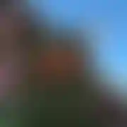 SebastianM