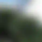 Banita89