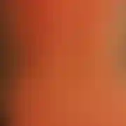 Lubiebol