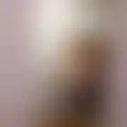 Pitera1