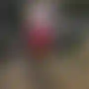 Olgreg
