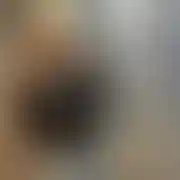 Pgajski5