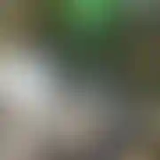 Wojciechmar - mężczyzna, 52 lat, Pruchnik