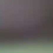 Nowymisiek123