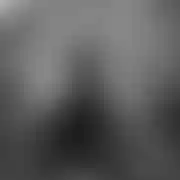 Grzes566