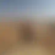 Bydlak86
