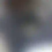 Pawlitoodkarloto