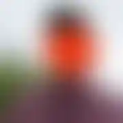 RomantykHamm