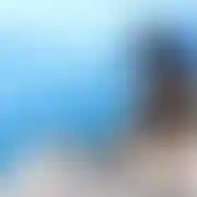 Onhamburg2021