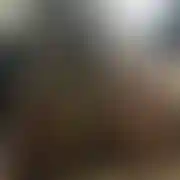 FunandSex8285