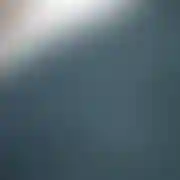 Pol42